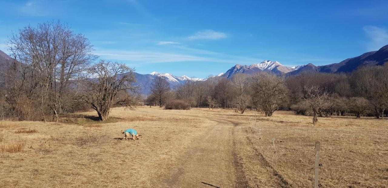 Appartamento Di Vacanza Casa Leoni Verscio Zewnętrze zdjęcie